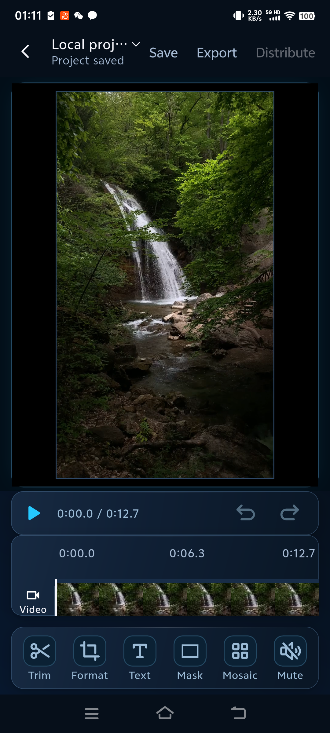 Preview and edit a vertical video